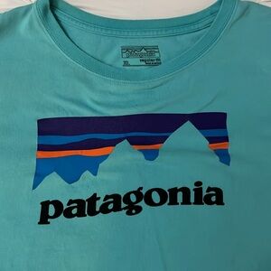 Patagonia Long Sleeve Shirt Teal XL Regular Fit